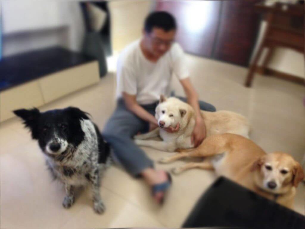 A heartwarming moment at home – Hoon grooming our loved dog Ken while Nini and Meimei relax nearby.