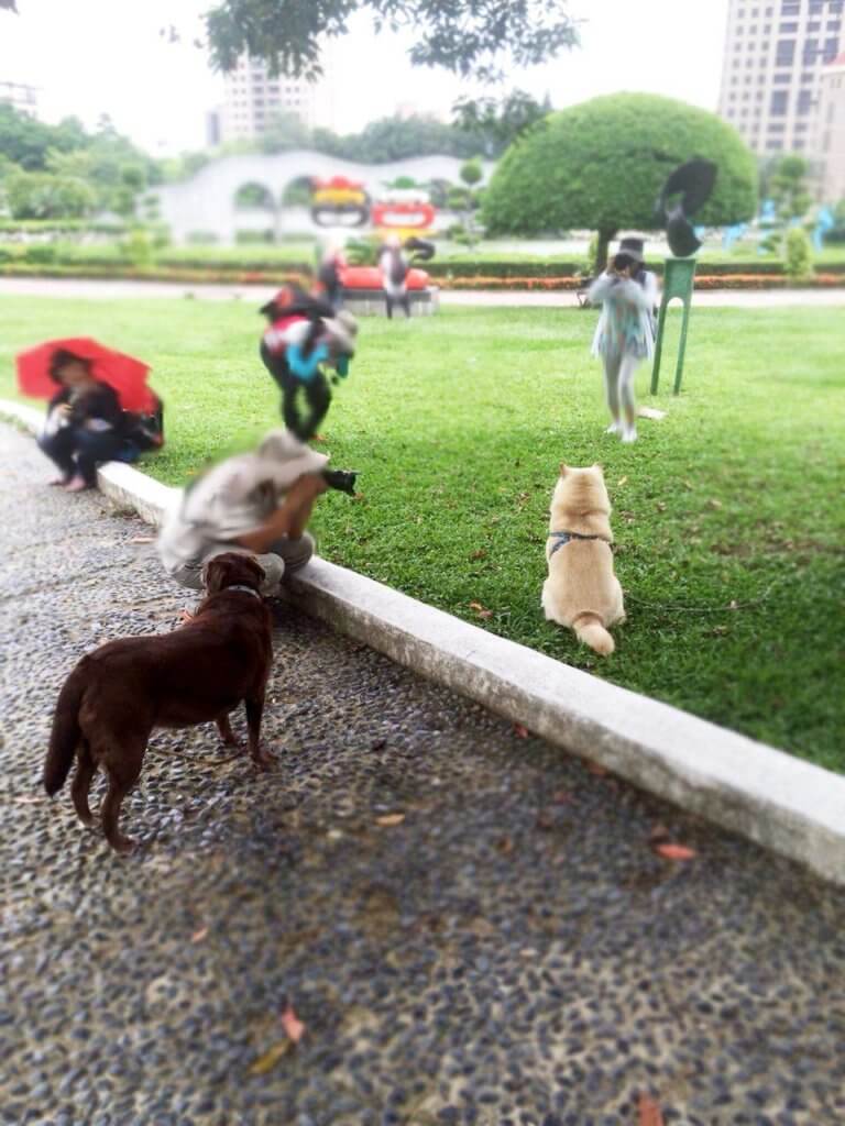 Tourists Captivated by KEN and Lala in the Park